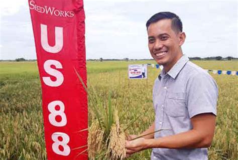 SeedWorks assist local rice farmers .